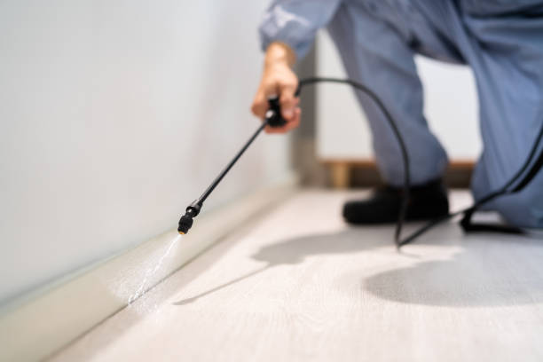 Licensed Fumigation Services service in Ridgecrest, CA - Nex Pest Control