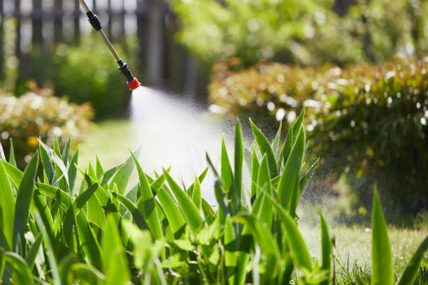 24/7 Emergency Fumigation Services experts in Ridgecrest, CA