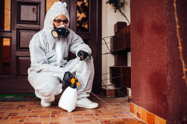 Reliable Fumigation Services contractor in Ridgecrest, CA by Nex Pest Control
